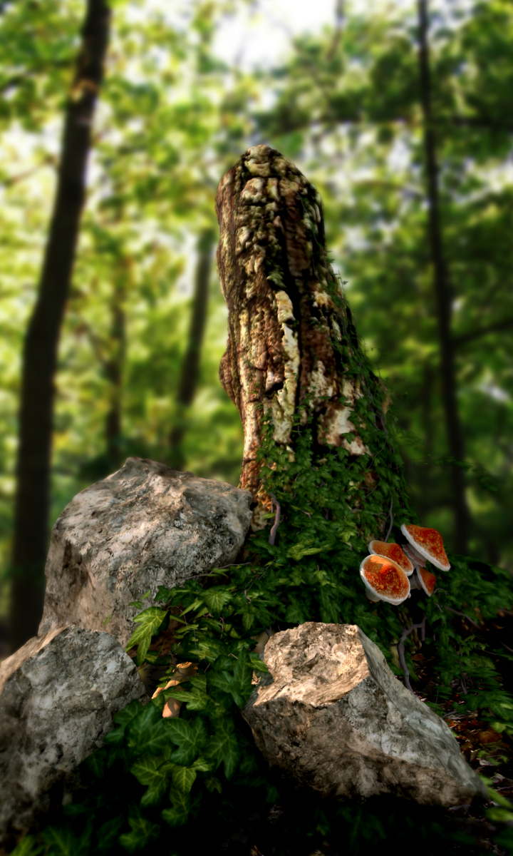 ivy covered tree preview