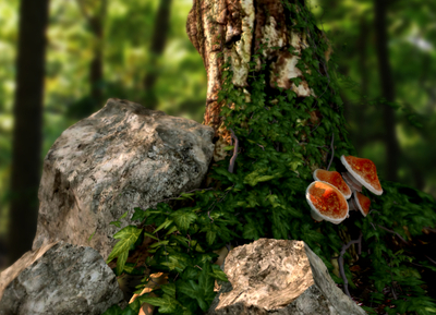 ivy covered tree